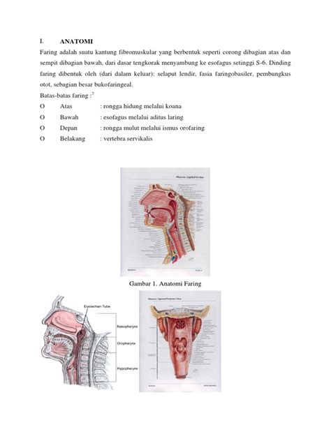 Anatomi Faring Pdf