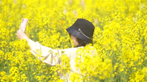 春风十里 花染三春 我在平昌与您“香”约先锋文汇共产党员网