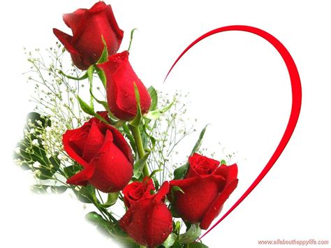 Beautiful Love Red Rose Pictures