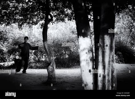 Chinese Woman Practicing Tai Chi Qi Gong In An Park In Nanjing China