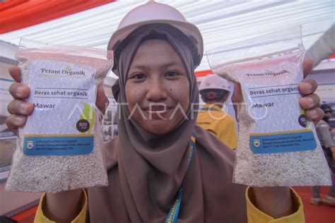 Pemberdayaan Masyarakat Sektiar Lingkar Tambang Antara Foto