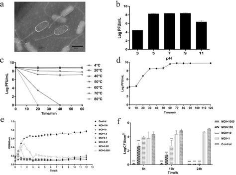 Figure From Characterization Of A Lytic Bacteriophage Vb Efas Phb