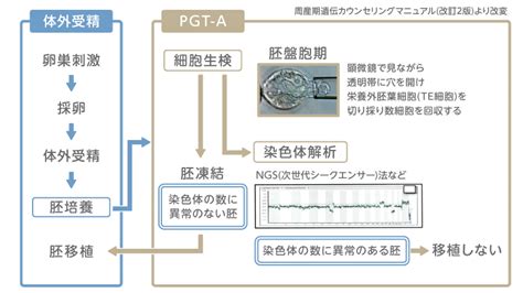 着床前胚染色体異数性検査pgt Aについて 岡山二人クリニック｜岡山市の望妊（不妊）治療クリニック