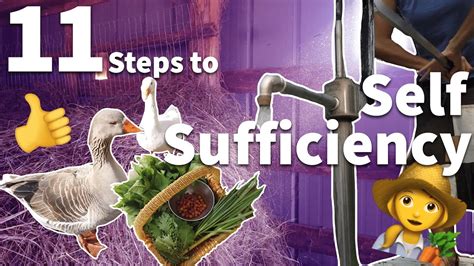 Steps To Self Sufficiency Beginner Homestead