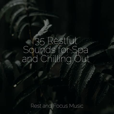 Restful Sounds For Spa And Chilling Out Album By Nature Sounds