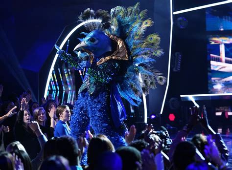 Who Is The Peacock On The Masked Singer This Clue Proves Its Donny Osmond