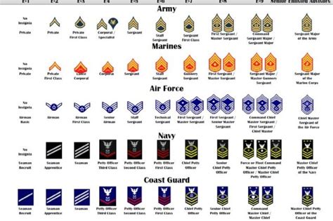 United States Army Enlisted Rank Insignia