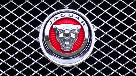 Jaguar Symbol Wallpaper