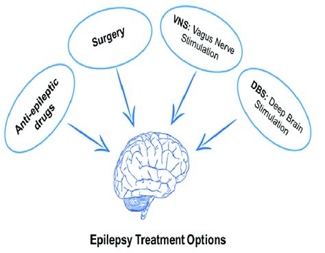 Conventional epilepsy treatment options. | Download Scientific Diagram