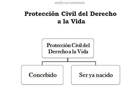 Andrés Eduardo Cusi Arredondo EL DERECHO A LA VIDA ANDRÉS CUSI ARREDONDO