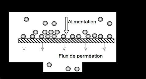 Principe De La Filtration Membranaire Il Existe Plusieurs Types De