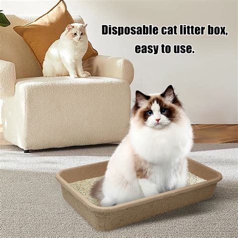 Ryanstar Racing 6 Pcs Disposable Cat Litter Box Kitten Litter Box Disposable Cat Litter Box ...