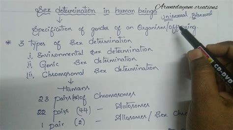 Sex Determination In Humans Class 10 Heredity YouTube