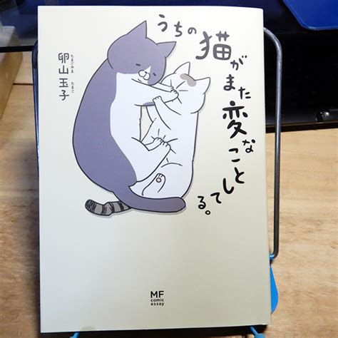 卵山玉子『うちの猫がまた変なことしてる。』 猫好きが読んだ千冊の本