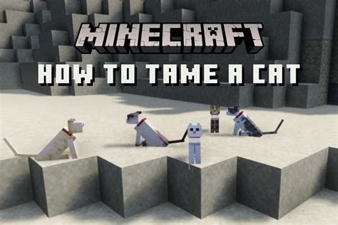 How To Tame A Cat In Minecraft Bedrock And Java Edition 2022 Beebom