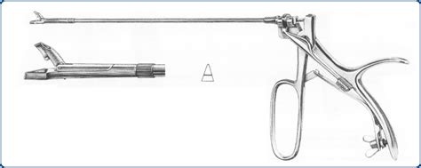 Gynecology Cervical Biopsy Forceps Germedusa Inc