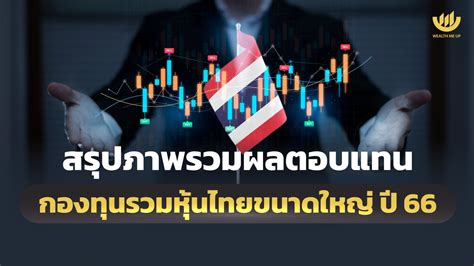 สรุปภาพรวมผลตอบแทน กองทุนรวมหุ้นไทยขนาดใหญ่ ปี 66 Wealth Me Up