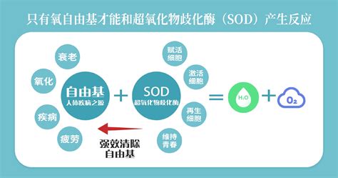 超氧化物歧化酶sod为什么和其他的抗氧化剂不一样？财经头条