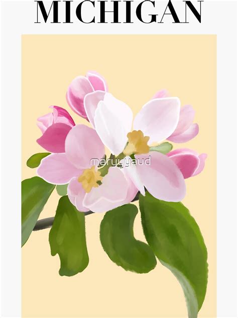 Michigan State Flower Flower Market Sticker Apple Blossom Flower