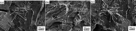 Sem Micrographs Showing Impact Fracture Surface Morphologies Of