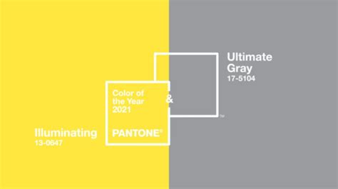 Cores 2021 Pantone Cinza E Amarelo Isabella Fiorentino 1 Isabella