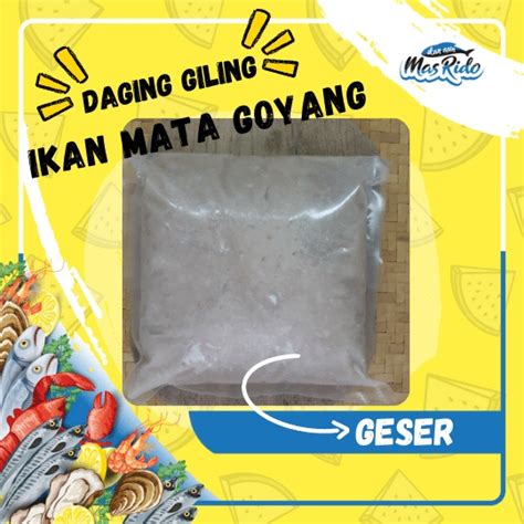 Jual Ikan Giling Mata Goyang Ikan Swangi Ikan Demang Fresh Segar Murah