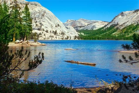 12 Best Short Easy Hikes In Yosemite National Park