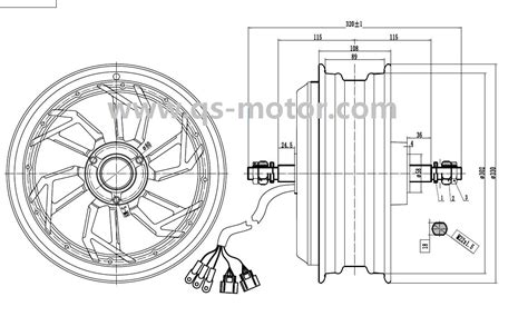 Qs Qs260 12inch 8000w 60h V4 Wheel Hub Motor