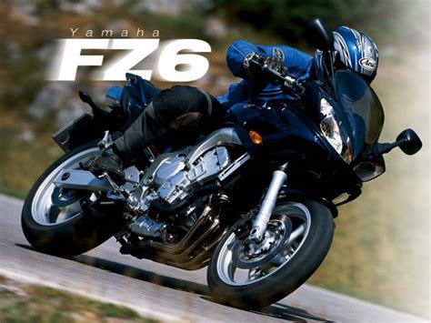 YAMAHA FZ6 Specs Photos 2004, 2005 Autoevolution | atelier-yuwa.ciao.jp