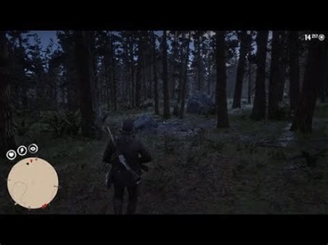 Weird glitch or…… : r/RDR2mysteries