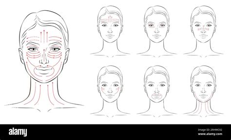 Face Massage Lines Facial Massage Instructions Vector Illustration