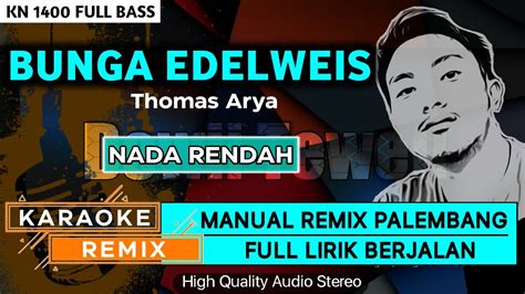 Bunga Edelweisthomas Arya Karaoke Remix Palembang Youtube