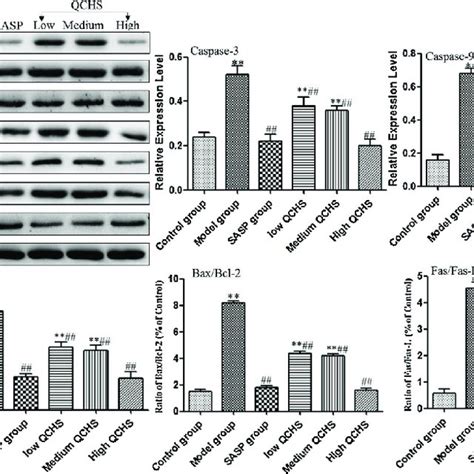 The Mrna Expression Of Pro Inflammatory And Anti Inflammatory Cytokines