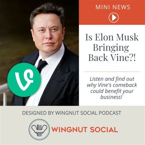 Is Elon Musk Bringing Back Vine Mini News Episode 298 Wingnut