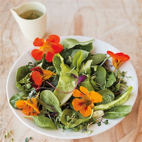 Recipe Roundup Spring Salads Williams Sonoma Taste