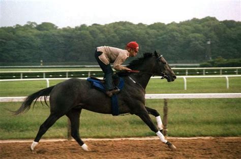 Triple crown misses: the 14 horses who almost won it all since Affirmed