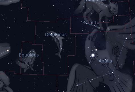 delphinus constellation zodiac   astrologytoyoucom