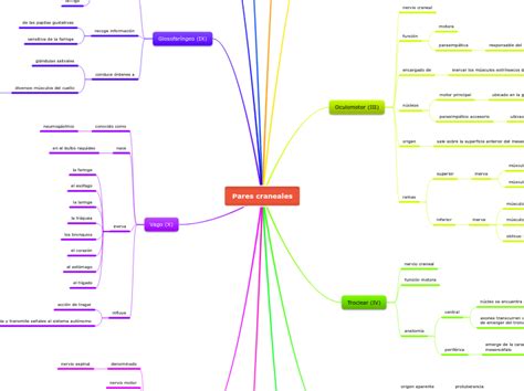 Pares Craneales Carte Mentale