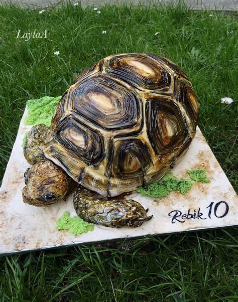 Tortoise Birthday Cake Decorated Cake By Layla A Cakesdecor