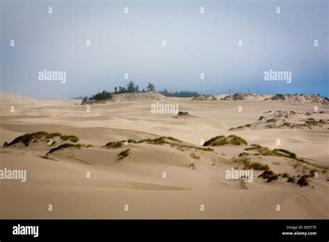 Sand Dunes In Oregon Dunes National Recreation Area Stock Photo Alamy