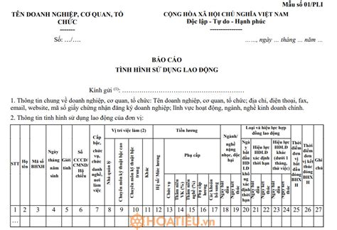 Mẫu 01 PL Báo Cáo Tình Hình Sử Dụng Lao Động