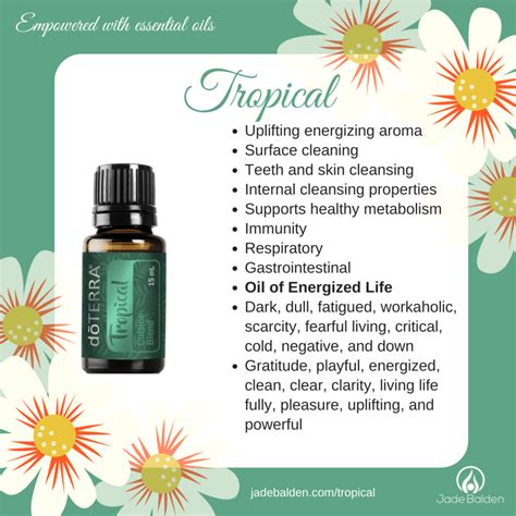 Tropical Cuisine Essential Oil Blend Jade Balden