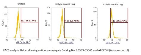 Human Kallikrein AssayLite Antibody (APC Conjugate) | Assaypro