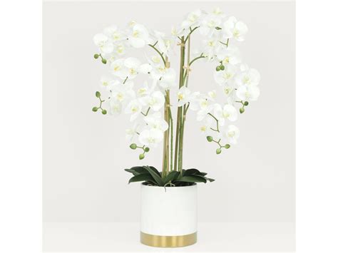 Orchid Es Artificielles Pot Blanc Et Or Cm