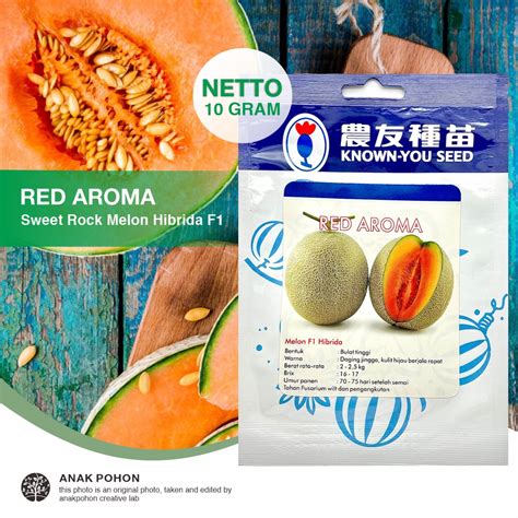 Jual 1 PACK 10 GRAM Benih Melon Red Aroma F1 Hibrida Oranye Seeds