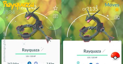 Best Rayquaza Moveset Pokemon Go Bonomo Mezquita En Colombia - PELAJARAN