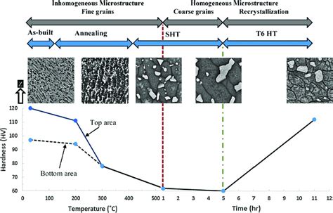 The Effect Of Various Heat Treatment Procedures On The Micro Hardness