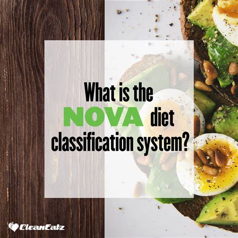 Nova Food Classification: Insights & Analysis