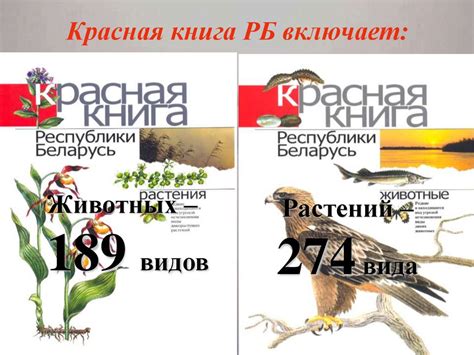 Красная книга РБ - презентация онлайн