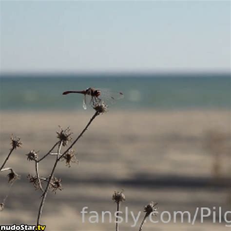 Cinderella Girl Cinderella Story Cinderelagirl69 Cinderelastory Nude OnlyFans Photo 50